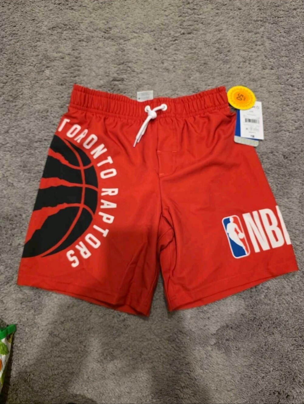 Toronto RAPTORS Swim Shorts